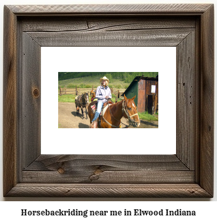 horseback riding near me in Elwood, Indiana